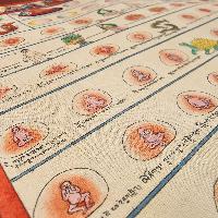 Buddhist Tibetan Thangka Of Medical Thangka, [hand Painted]