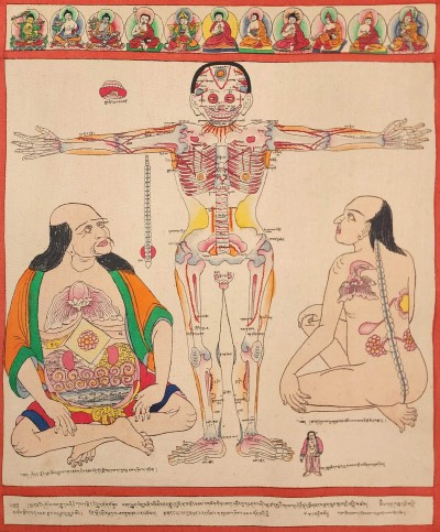 Buddhist Tibetan Thangka Of Medical Thangka, [hand Painted]