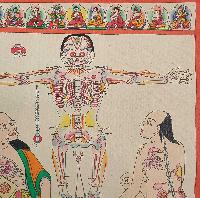 Buddhist Tibetan Thangka Of Medical Thangka, [hand Painted]
