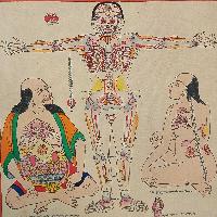 Buddhist Tibetan Thangka Of Medical Thangka, [hand Painted]