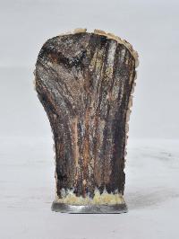 Tibetan Hand Carved Animal Bone Stamp [tibetan Seal] With Citipati Carved, [remakable]