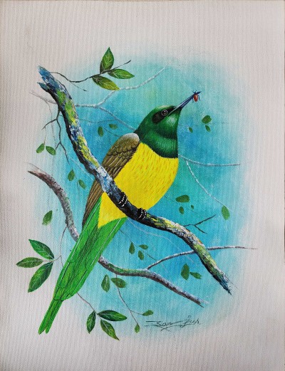 Painting Of Beautiful Sunbird [acrylic Color On Canvas], [washable]