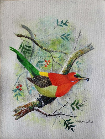Painting Of Beautiful Crimson Sunbird [acrylic Color On Canvas], [washable]