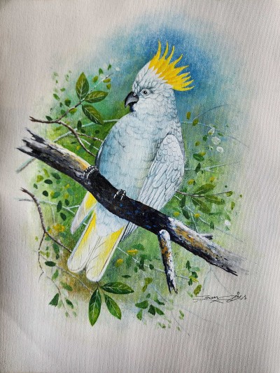 Painting Of Beautiful Sulphur-crested Cockatoo Bird [acrylic Color On Canvas], [washable]
