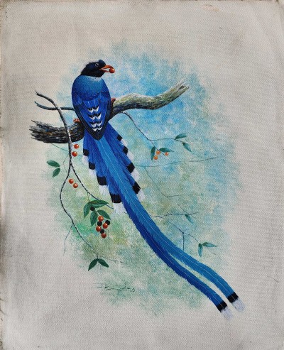 Painting Of Beautiful Long Tail Bird [acrylic Color On Canvas], [washable]