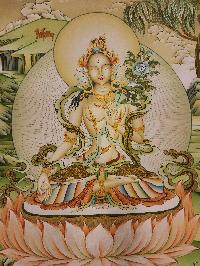 White Tara Thangka, [master Quality], Buddhist Traditional Painting, Karma Gadri Art Style, [rare Find]