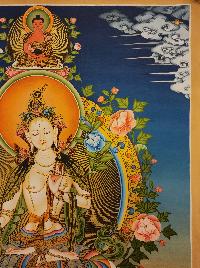 White Tara, Buddhist Handmade Thangka Painting, Tibetan Style, [real Gold]
