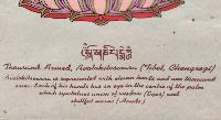 Sahasrabhuja Avalokitesvara, Buddhist Scroll, Made In Lokta Paper, [screen Printed], And Hand-painted