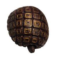 [tortoise], Handmade Wooden Mask, Wall Hanging, Painted, Poplar Wood, High Quality