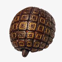 [tortoise], Handmade Wooden Mask, Wall Hanging, Painted, Poplar Wood, High Quality