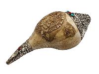 Conch Shell ,[silver And Stone Setting]